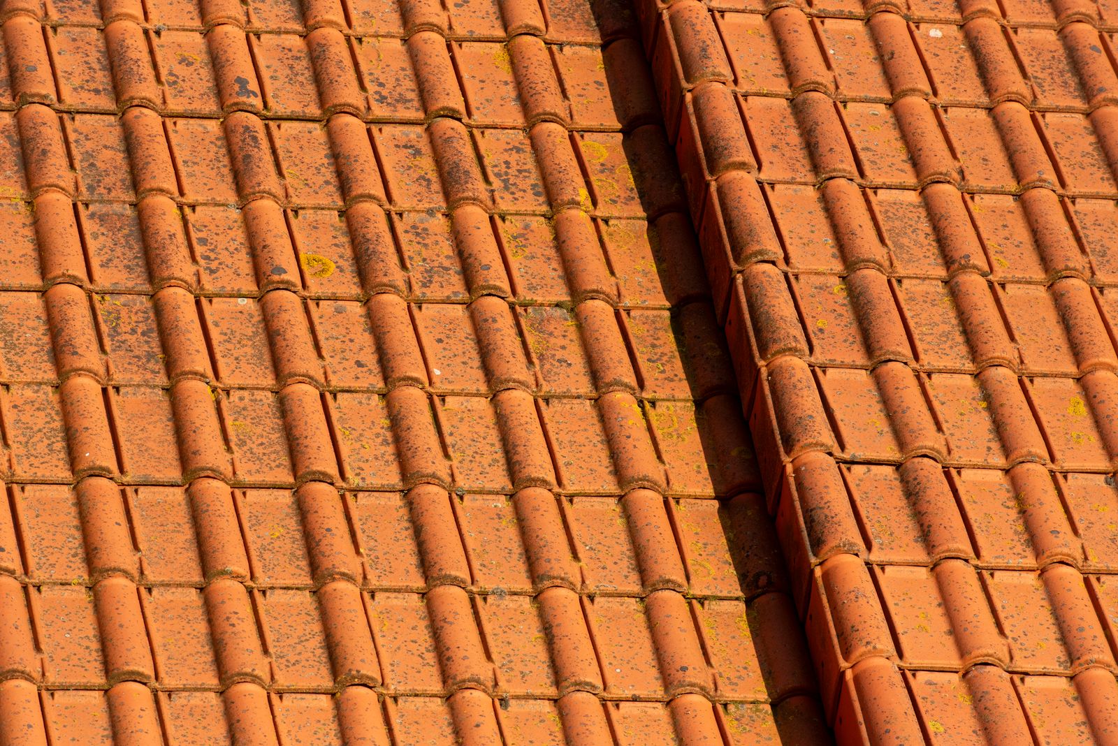 Clay and concrete tile